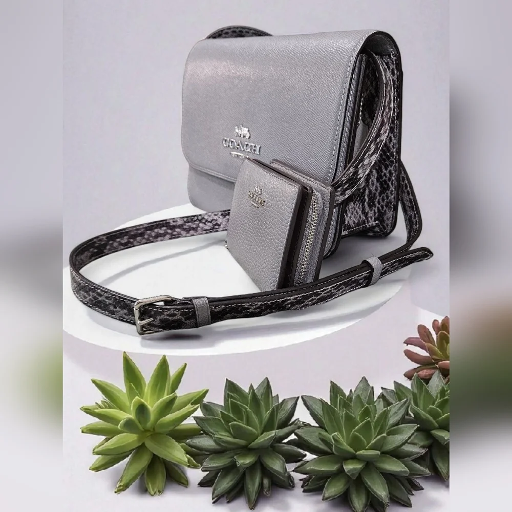 Coach Brynn 2021 NWOTs Gray Crossbody Bag and Wallet Set - Picture 2 of 14
